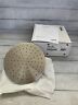 K-13688-bn 13688-bn Kohler Contemporary Round Showerhead Brushed Nickel 650531942630