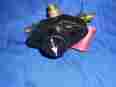 35253000 Grohe Grohsafe Shower Tub 4 Port Diverter Rough In Valve 35 253 000 4005176230943