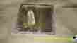 4735-10x10pb 4735 Smith 10 X Flush With Wall Access Panel Secured Cover Square Frame Screw 727753374799