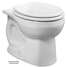3251d701208 Bowl Standard Brands American Toilet Fragnent Bone