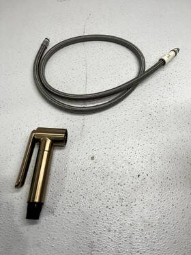 Rp100063gl Brizo Artesso Replacement Side Spray And Hose Assembly