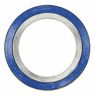 C000504001 Garlock Sealing Technologies And Flexible Graphite Spiral Wound Metal Gasket