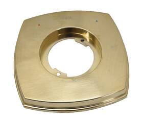 Delta 95230 Stryke Shower Trim Multichoice Pi-1 Brass Gold Part
