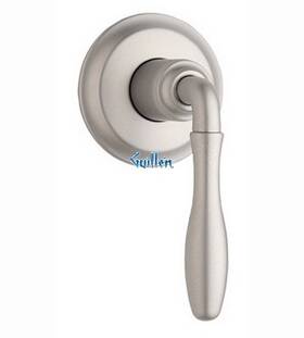 19828av0 Grohe 19828 Volume Control Trim Satin Nickel Color Used