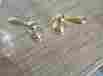 H215pb Delta Faucet Two Lever Handle Kit Polished Brass