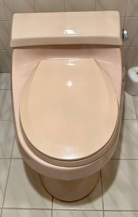 K3402 Kohler Rialto Vintage Toilet 89 Desert Bloom