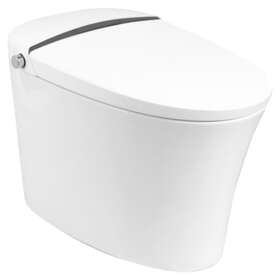 Psbtwe2000 Prostock 2k Smart Toilet With Bidet Combo White