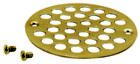 Bfnsd01pb Screws Brass Finish Belle Shower Strainer Polished Foret