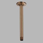 Rp48986bz Shower Ceiling Baliza " 10 Brizo Brushed Bronze Brilliance Arm