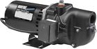 56914 Wayne Jet Shallow Pumps Pump Well