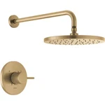 Delta T14269-CZ-PP Only Showers. Fixed Price $177.00.