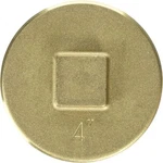 Jones Stephens P50400 4" Brass Clean Out Plug. Fixed Price $42.39.
