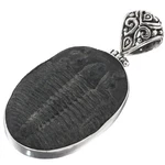 925 Sterling Silver Huge Intact Utah Trilobite Fossil Pendant, 1 7/8". Fixed Price $129.95.