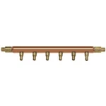 Watts Pex 6 Branch 1/2" Manifold, 3/4"BARB Open. Fixed Price $39.95.