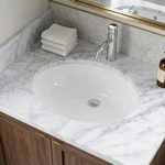 Toto 19-1/4 X 16-1/4 Undercounter Lavatory Sink, Vitreous China, Oval, Cotton. Fixed Price $157.01.