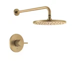 Delta T14269-CZ-PP Modern Rain Shower Trim Package, Champagne Bronze. Fixed Price $175.00.