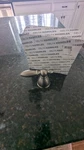 Delta H516SS. Fixed Price $23.99.