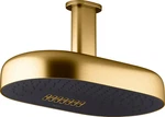 Kohler K-26295-G-2MB Statement 14" Multi Function Rain Shower Head, Vibrant Brus. Fixed Price $800.00.