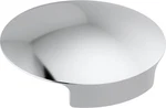 Delta RP101289 Glass Rinser Cover. Fixed Price $35.53.