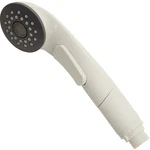 Danco 10415 Spray Head, Plastic. Fixed Price $36.83.