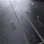Drains Professional Stainless Steel Linear Shower -. Fixed Price $115.84.