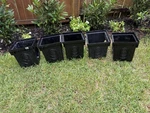 (5)FIVE Nds 1200BKIT (172954) 12" Catch Basin Drain. Fixed Price $200.00.