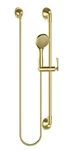 Pfister Rhen LG16-3RHBG 1-SPRAY Slide Bar Hand Shower In Brushed Gold. Fixed Price $149.99.