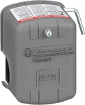 FSG2J21M4CP 30/50 Psi Standard Pressure Switch With Low Cutoff. Fixed Price $54.55.