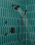 Delta Faucet RP40593BL Showerhead Arm 1/2" Brass Matte Black Mpt X. Fixed Price $92.75.