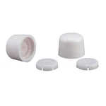 Plumb Pak PP835-30WHL Plastic White Universal Toilet Tank Bolt Cap 1-7/8 Dia.in.. Fixed Price $8.45.
