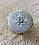 Grohe 26043GN1 Tempesta 100 4-SPRAY Shower Head Brushed Cool Sunrise Read. Fixed Price $20.00.