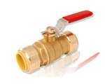 1" Quick Quarter Turn Ball Valve Push Fit/connect Probite LF932. Fixed Price $31.99.