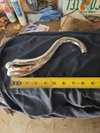 Swan Neck Wall Mount Shower Arm Goose Chrome. Fixed Price $37.00.
